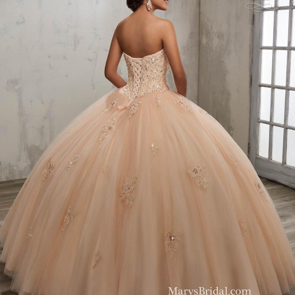 Marie Antoinette Light Pink Ballgown - Picture 7 of 8